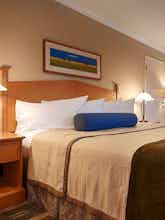 Hotel Best Western University Lodge photo 1