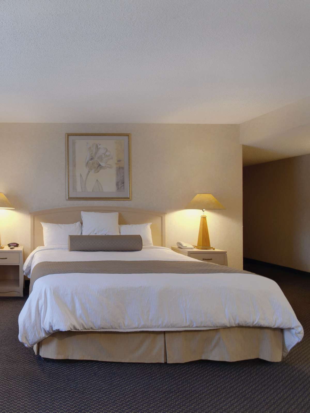 Hotel Best Western Camarillo Inn photo 1
