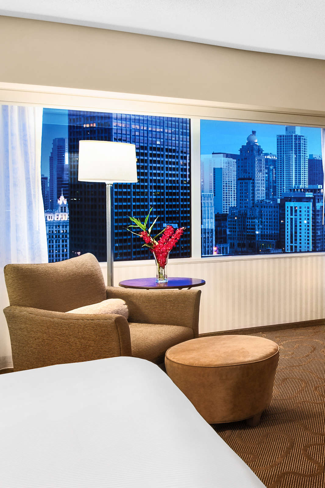 Hotel The Swissôtel Chicago photo 4