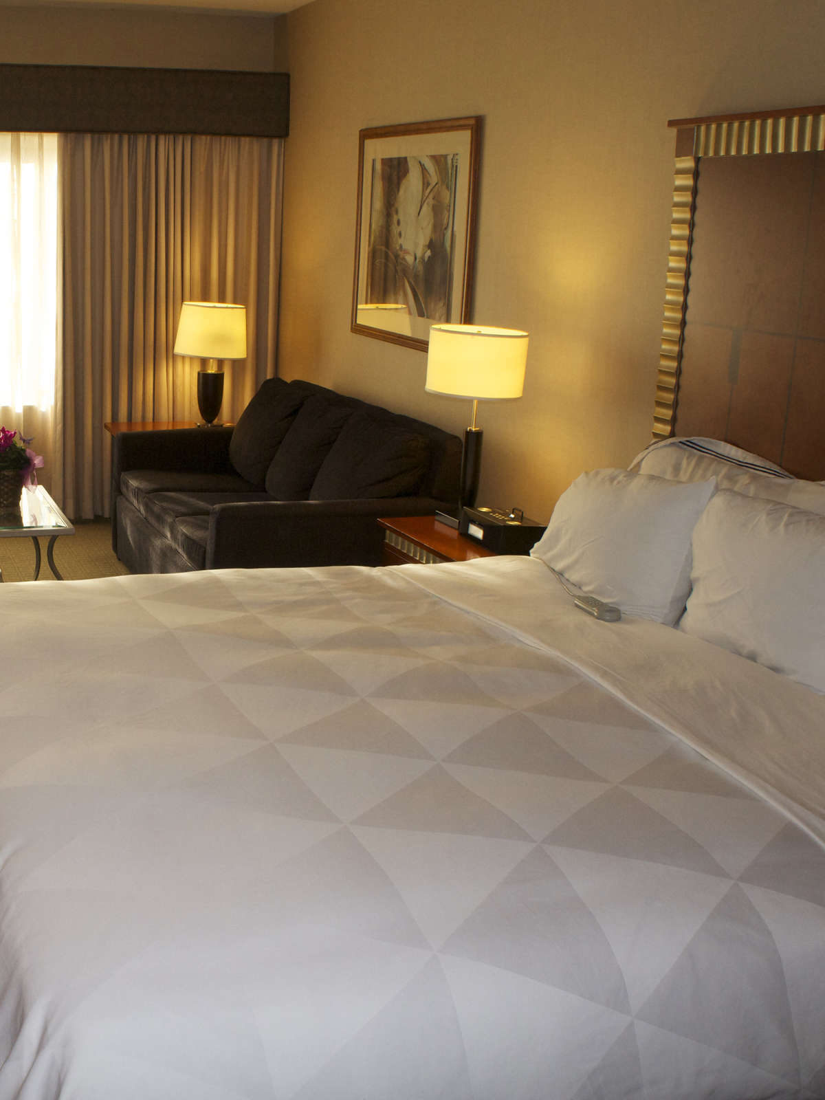 Hotel Kingsley Inn Detroit-Bloomfield Hills photo 4