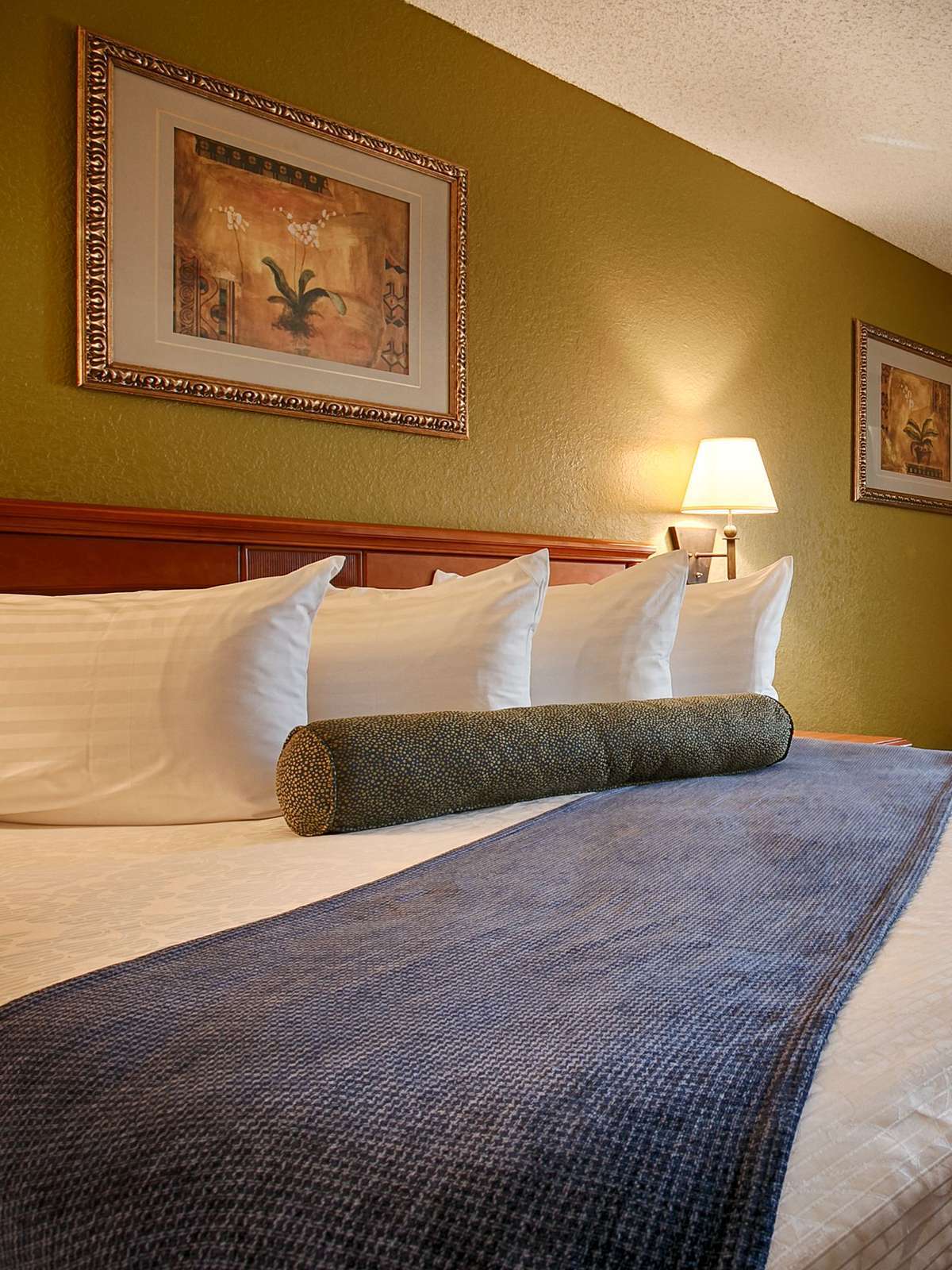 Hotel Best Western Antelope Inn & Suites photo 1