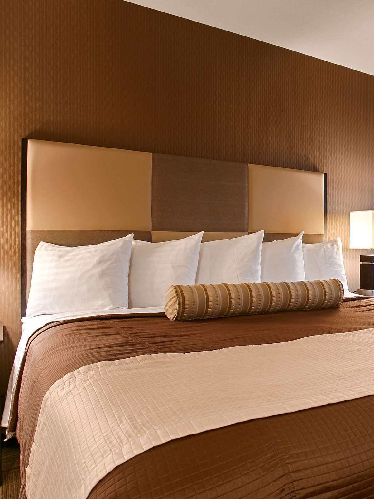 Hotel Best Western Yuba City Inn photo 1