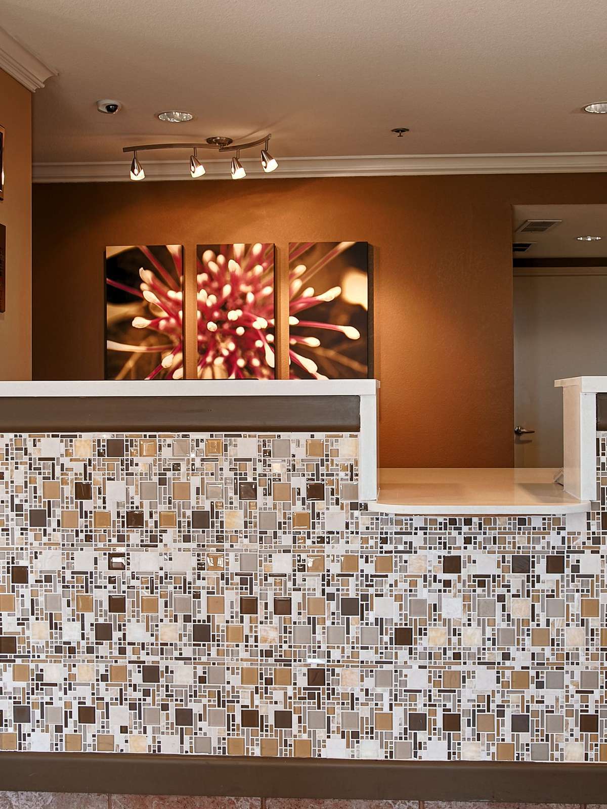 Hotel Best Western Yuba City Inn photo 5