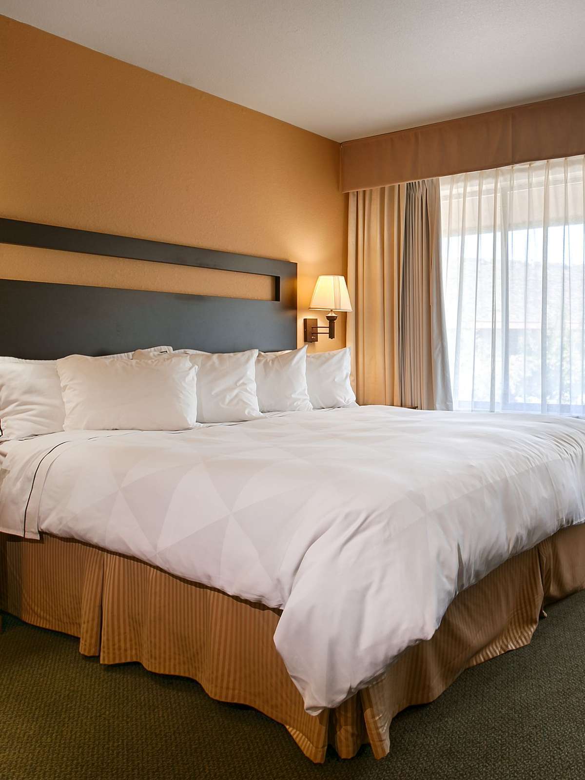 Hotel Best Western Plus Plaza Hotel photo 1