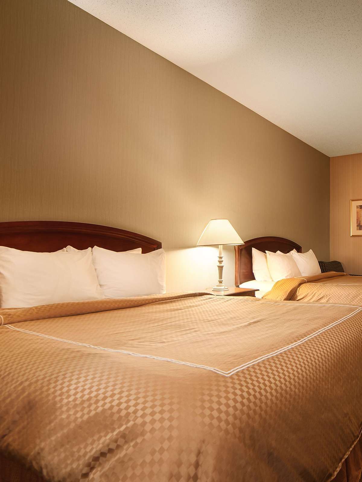 Hotel Best Western Plus New England Inn & Suites photo 1