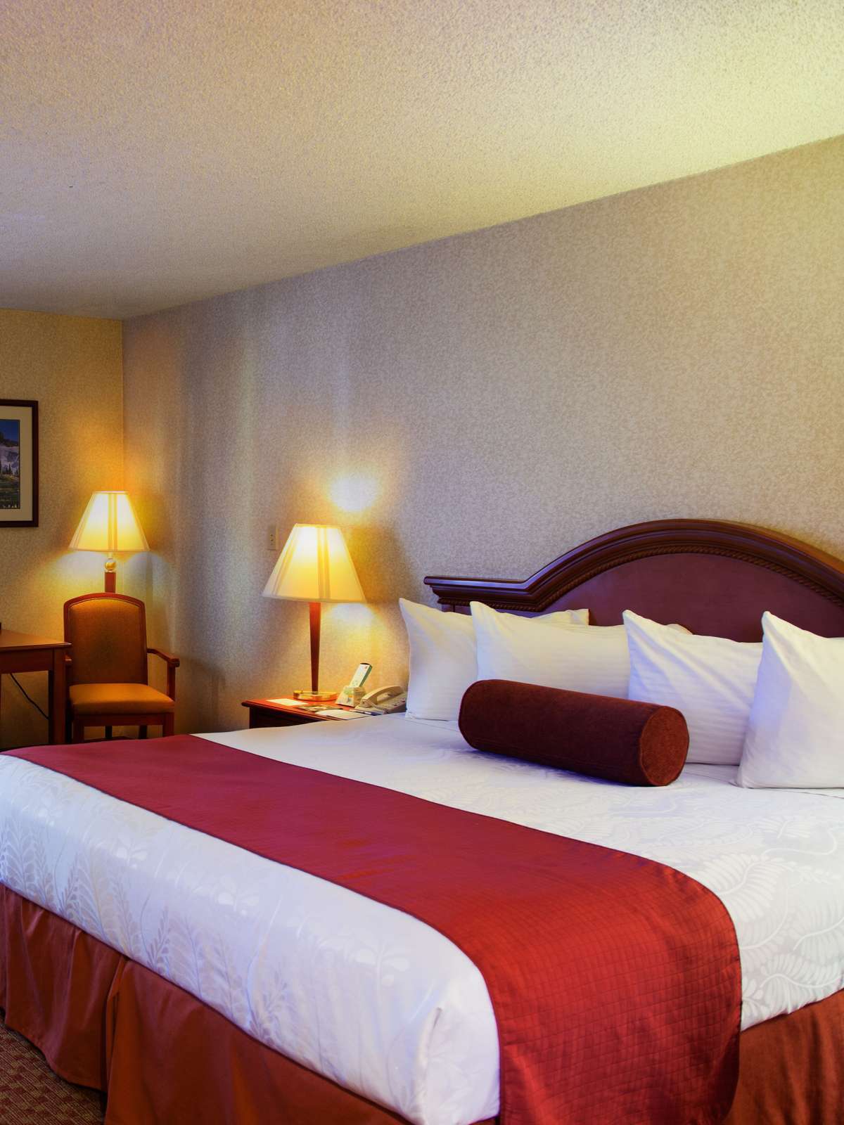 Hotel Best Western Airport Plaza photo 1