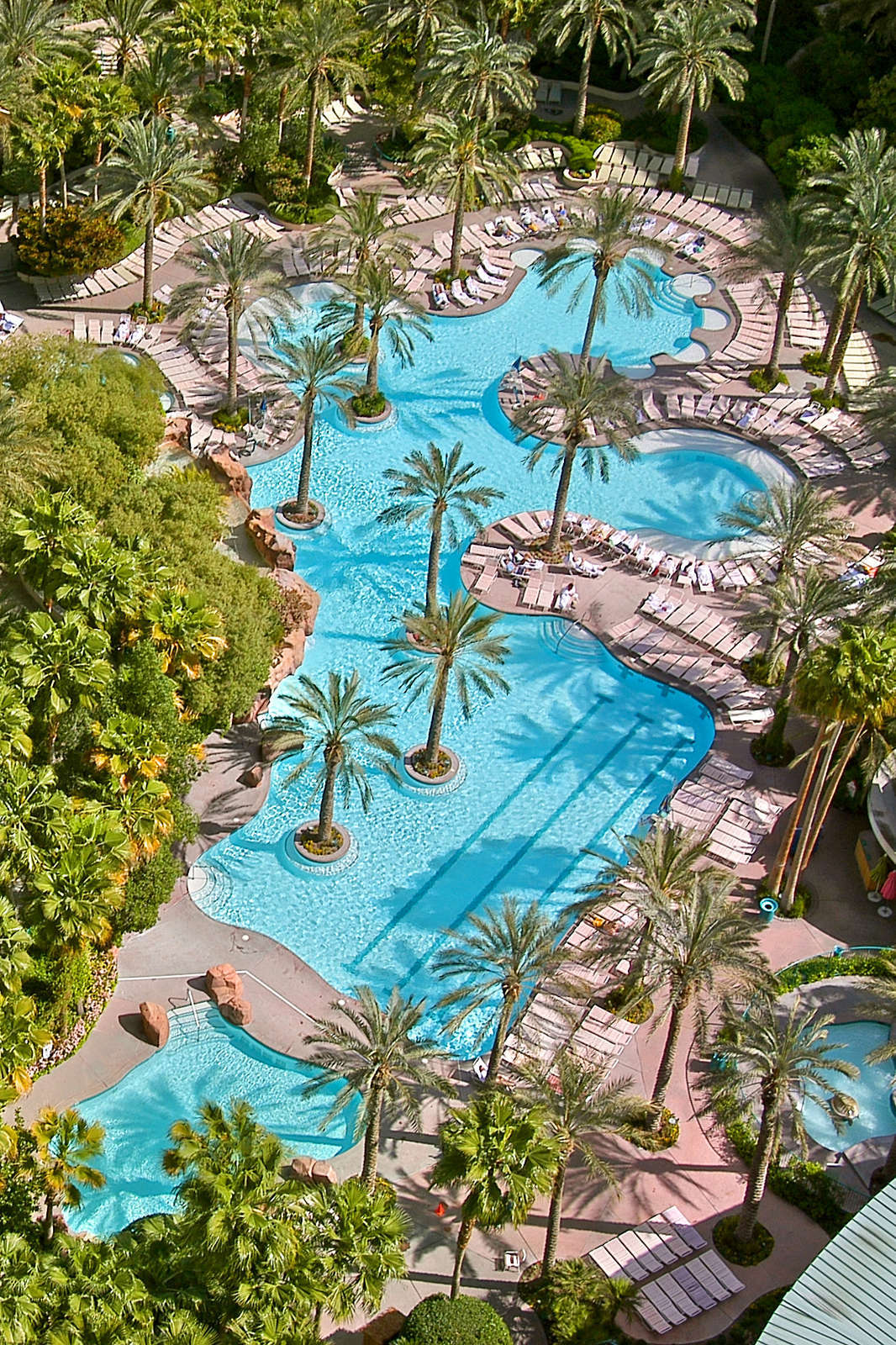 Hotel Flamingo Las Vegas photo 1