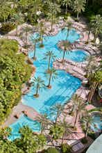 Hotel Flamingo Las Vegas photo 1