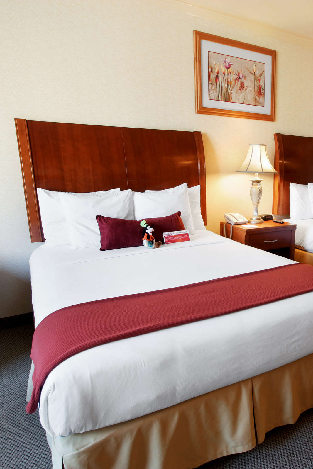 Hotel Ramada Plaza Anaheim photo 1