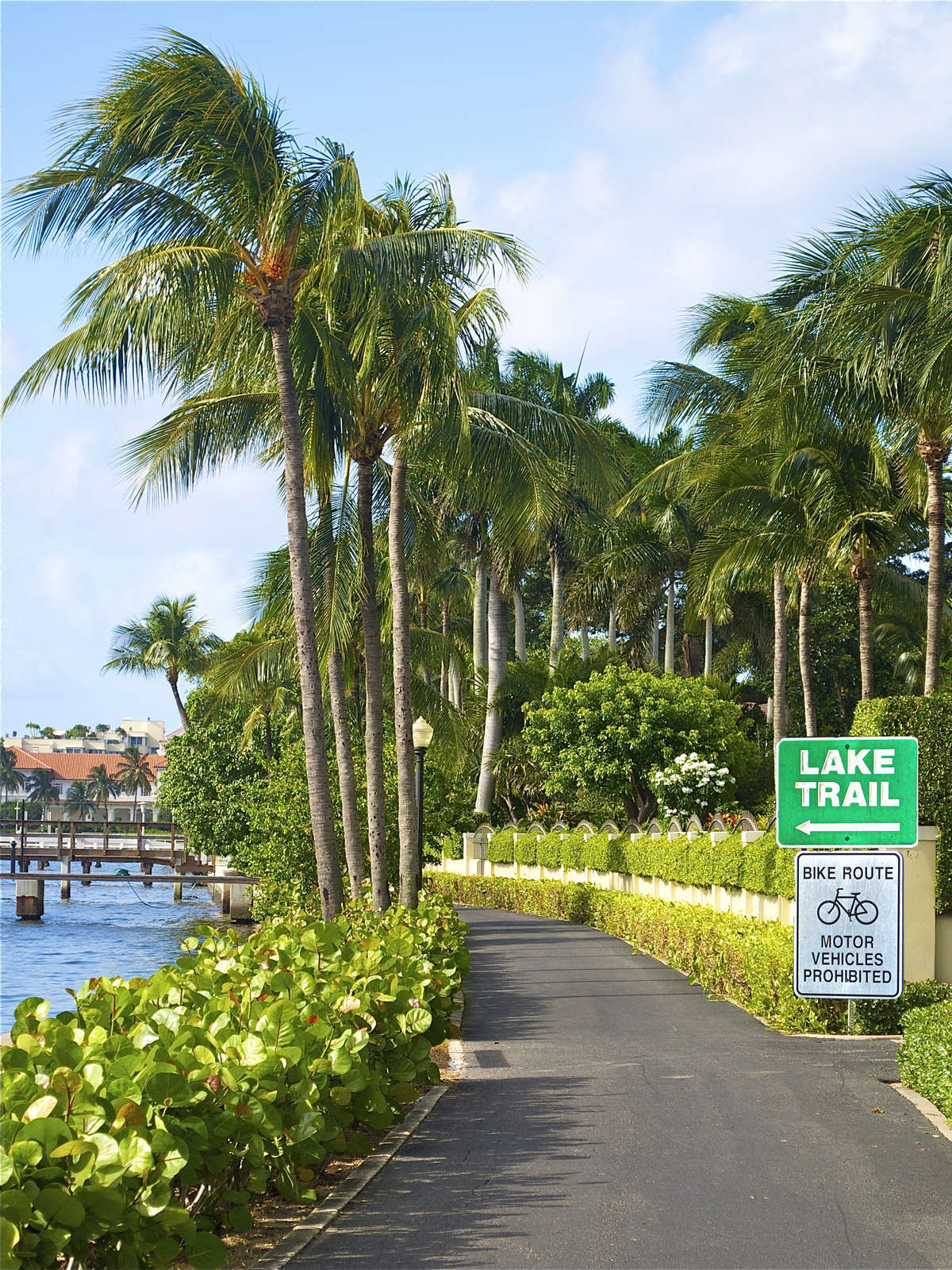 Hotel Palm Beach Historic Inn photo 1