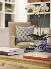 Hotel The Quogue Club at Hallock House photo 3