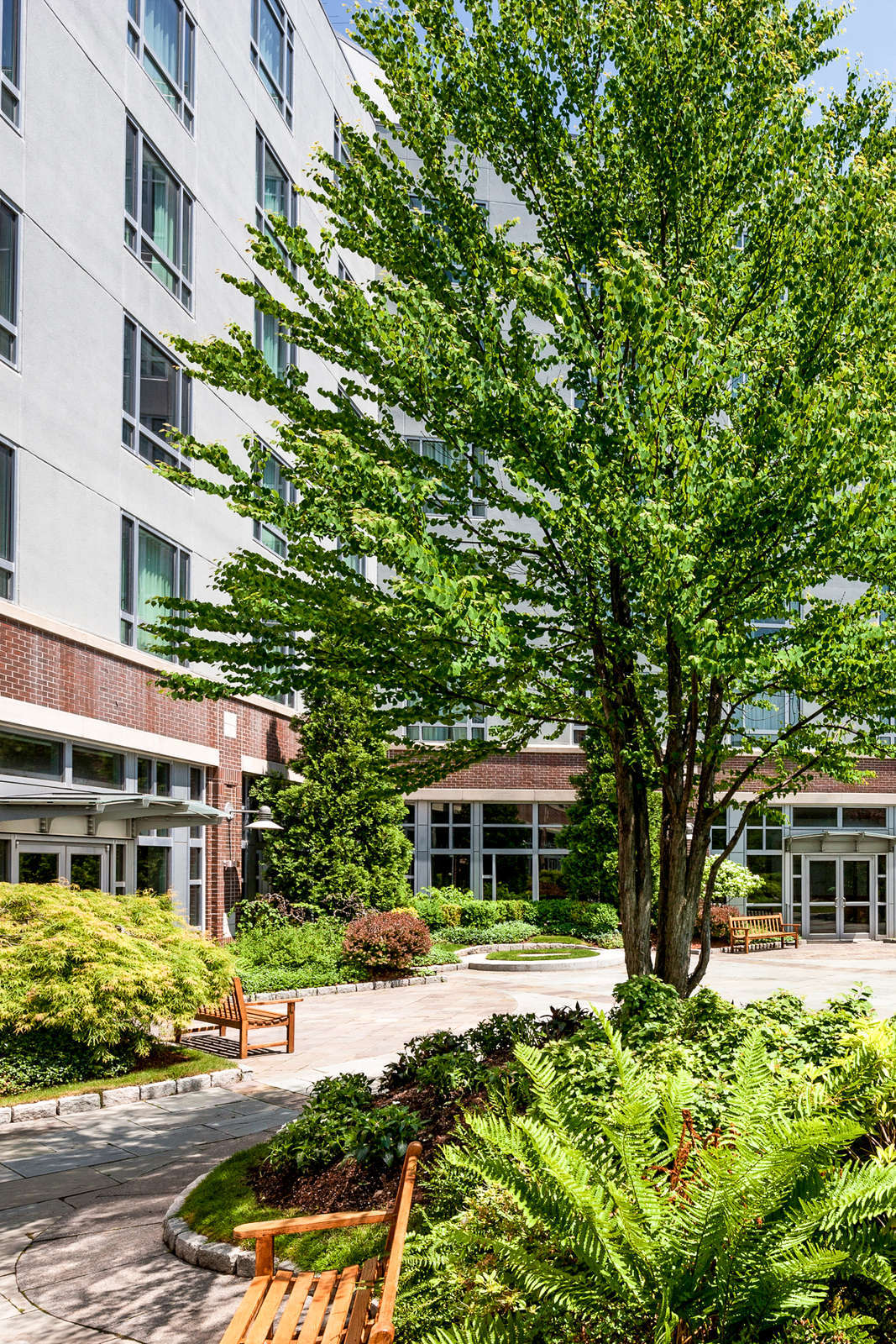 Hotel Le Meridien Cambridge-MIT photo 1