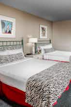 Hotel Safari Inn photo 4