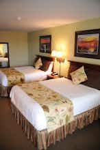 Hotel The Palms Oceanfront Resort photo 3