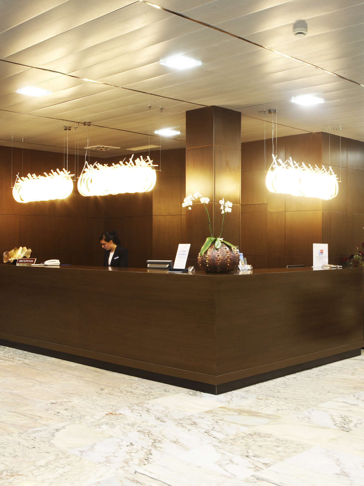 Hotel Hotel Congreso photo 3