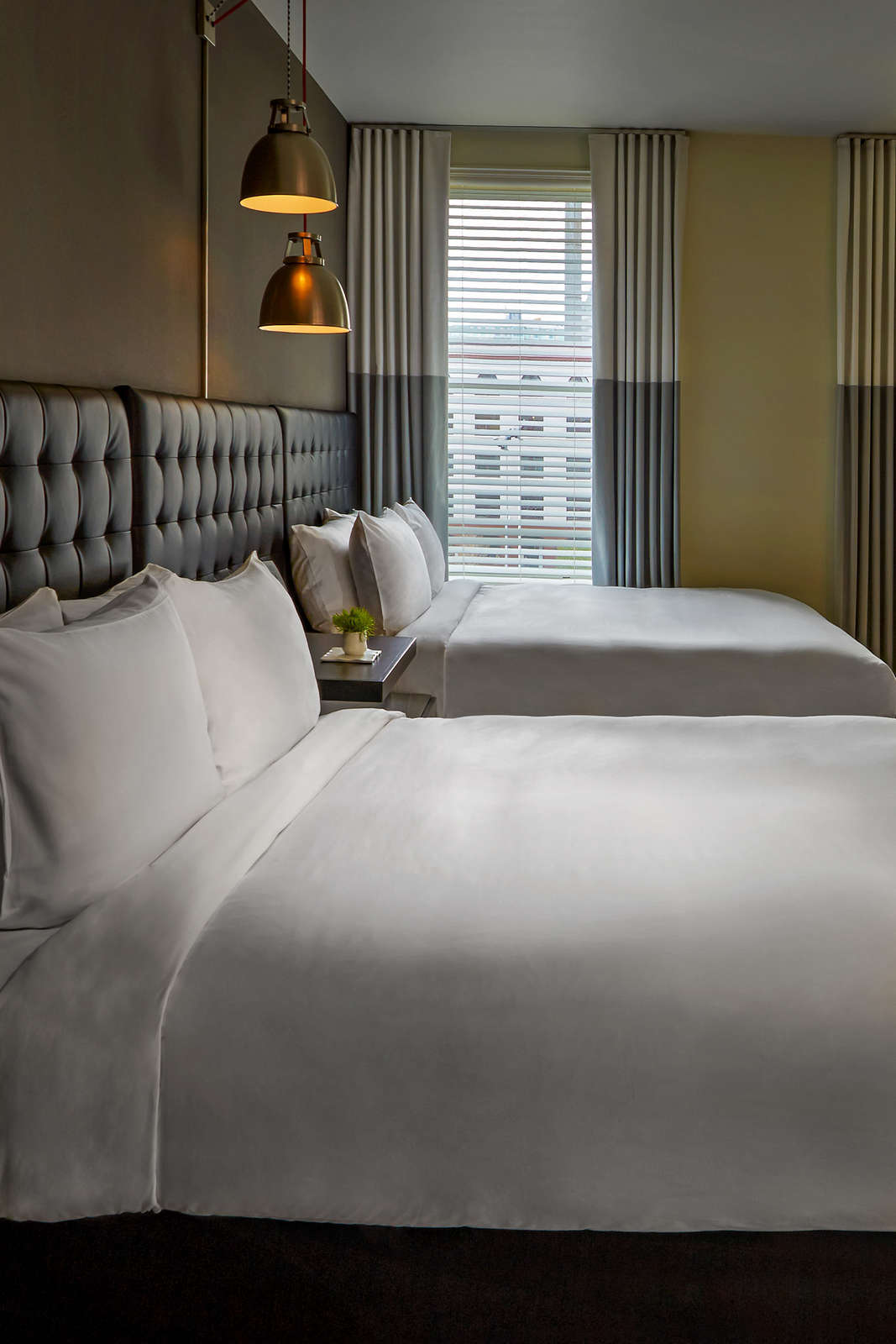 Hotel Hotel Zetta photo 5