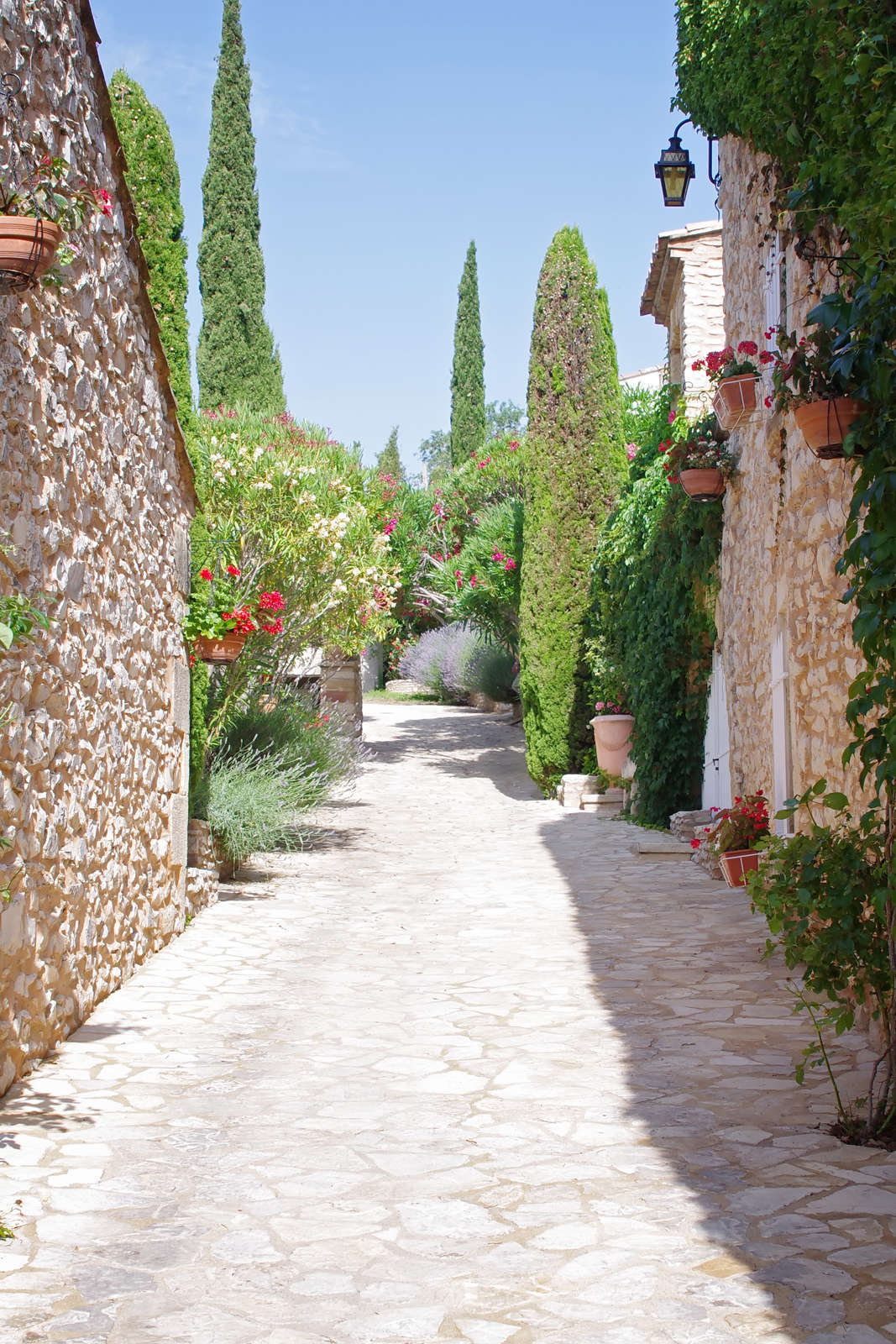 Hotel L'Enclos des Lauriers Roses photo 3