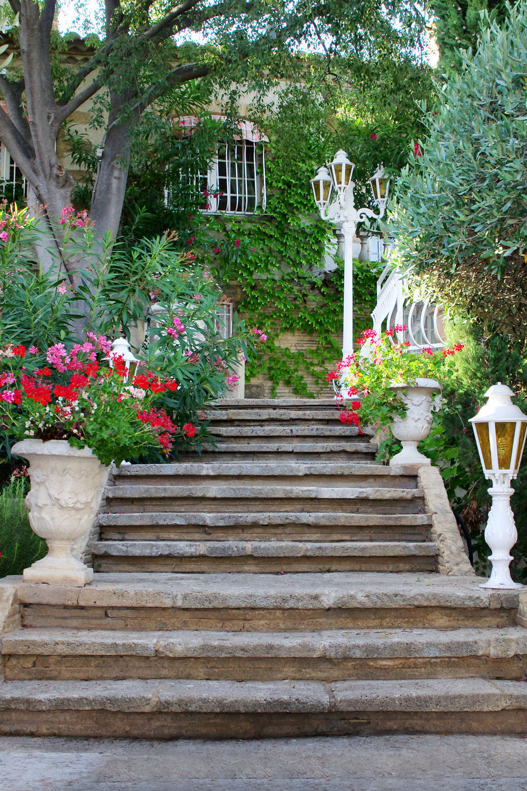 Hotel L'Enclos des Lauriers Roses photo 5