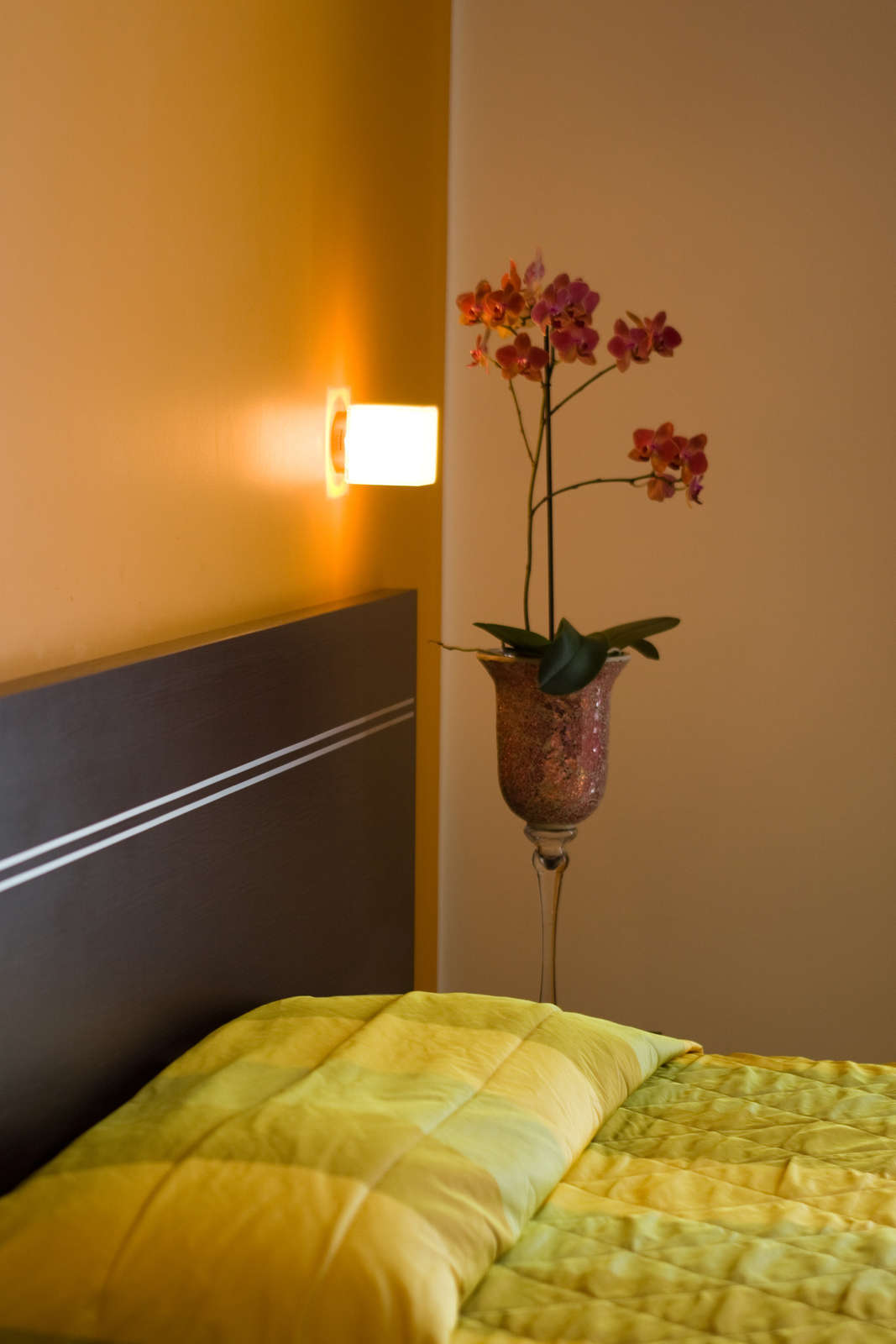 Hotel Hotel Panama Majestic photo 3