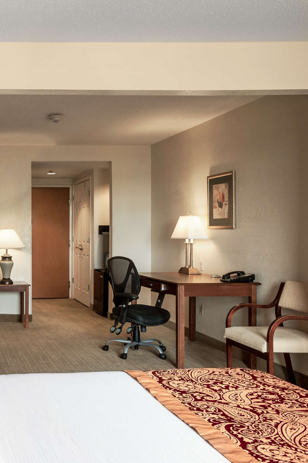 Hotel Wingate by Wyndham Schaumburg Convention Center photo 5