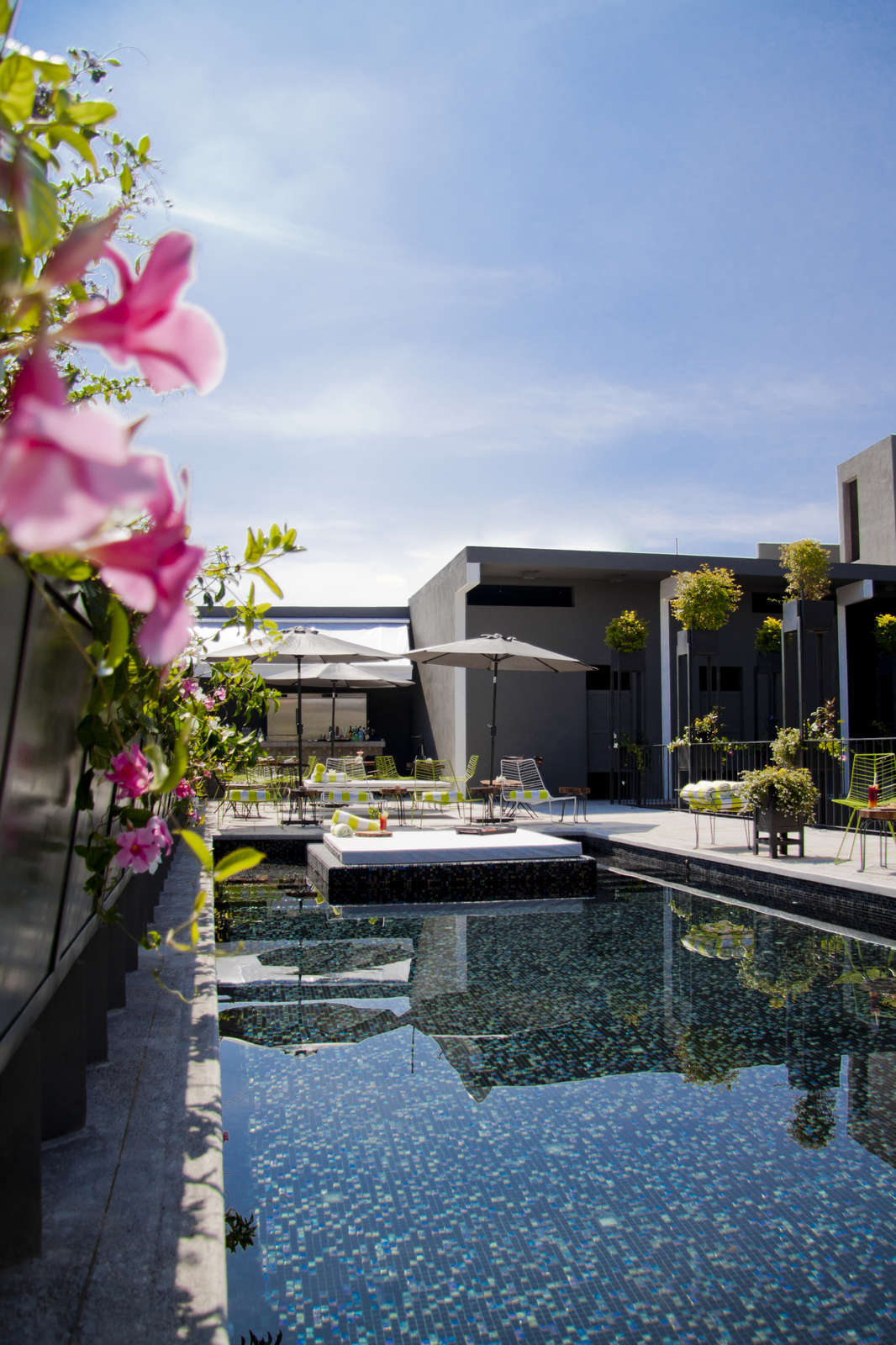 Hotel Flor de Mayo Hotel photo 1