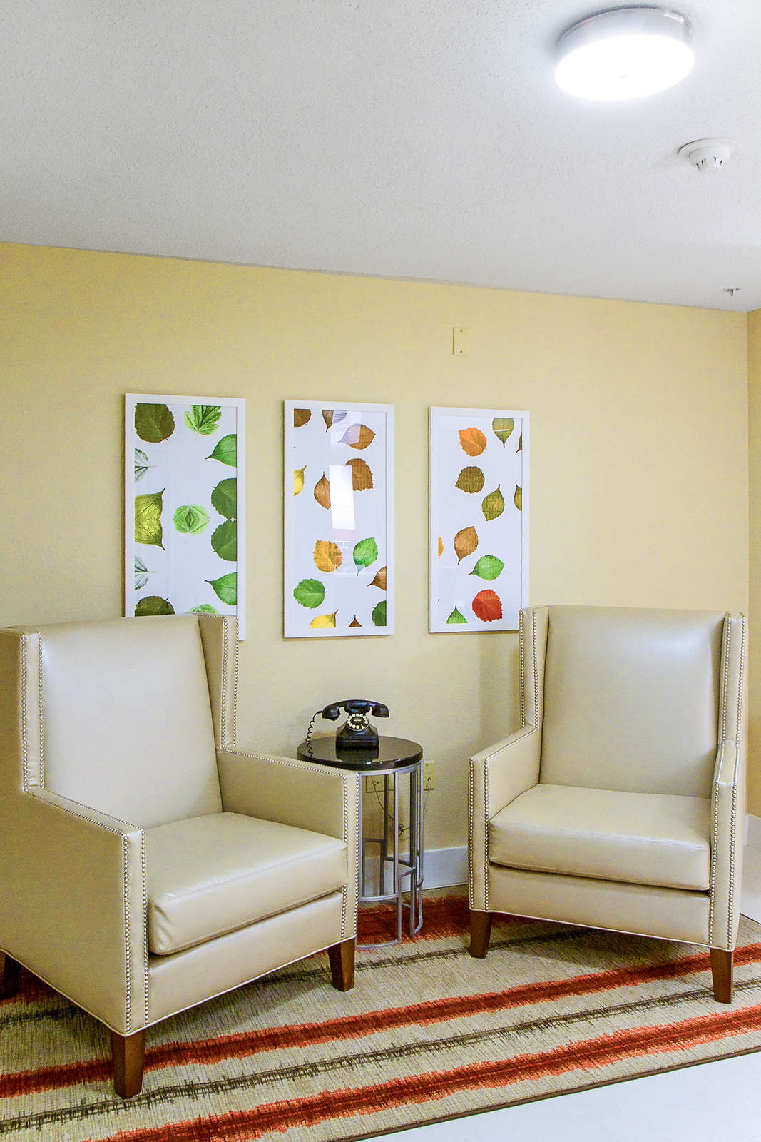 Hotel Hawthorn Suites Hoffman Estates photo 2