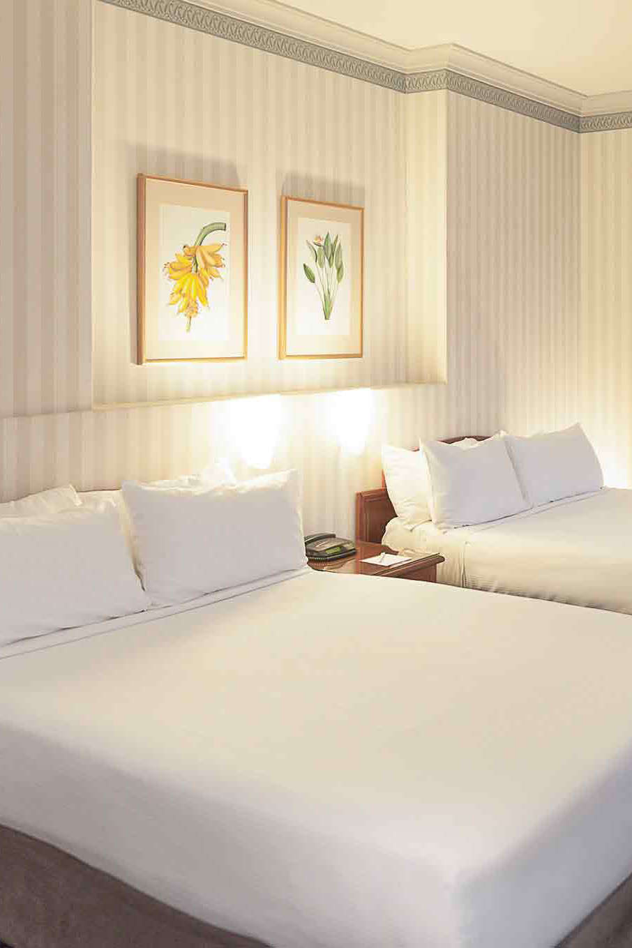 Hotel The Menzies Sydney photo 4