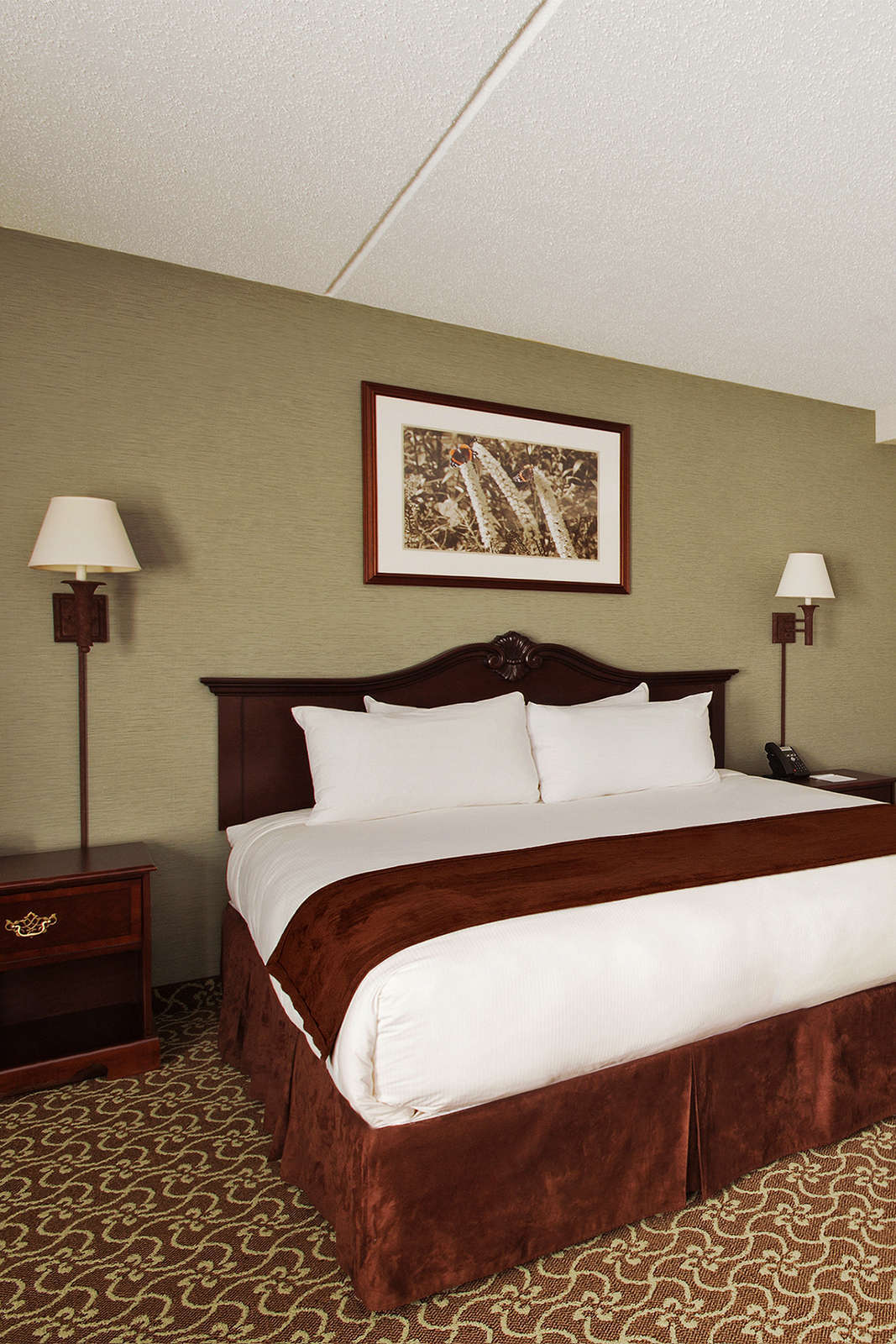 Hotel D Hotel & Suites photo 1