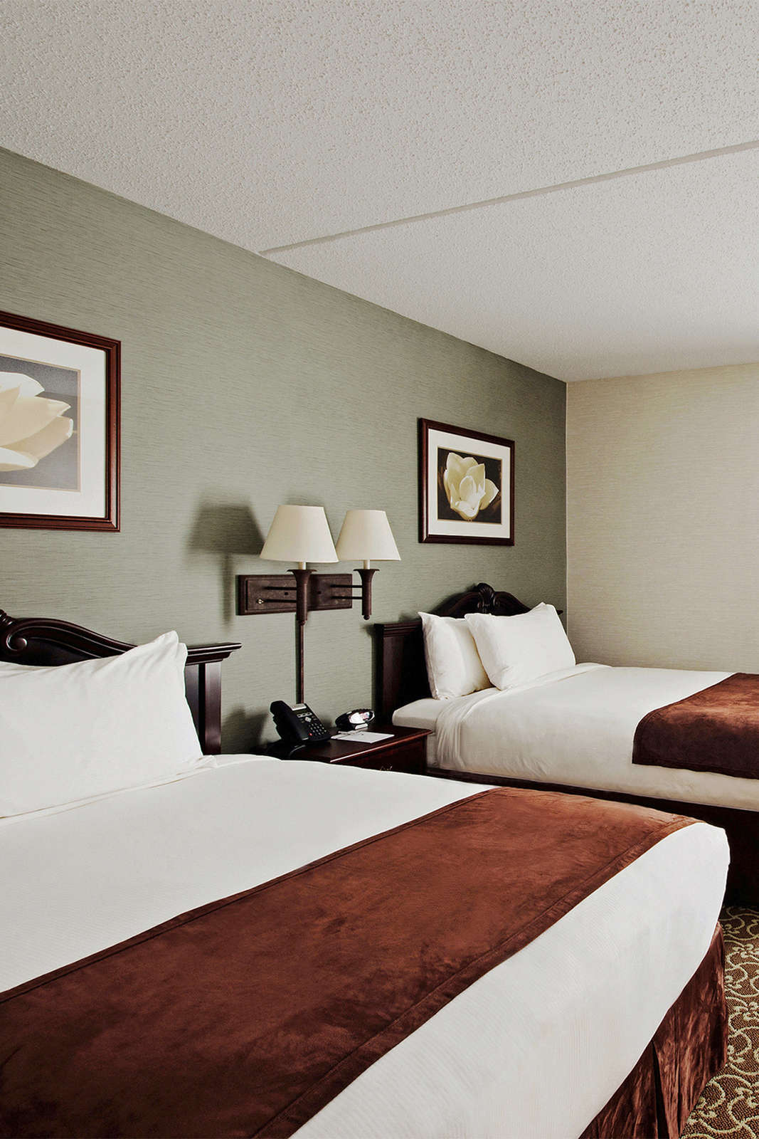 Hotel D Hotel & Suites photo 2