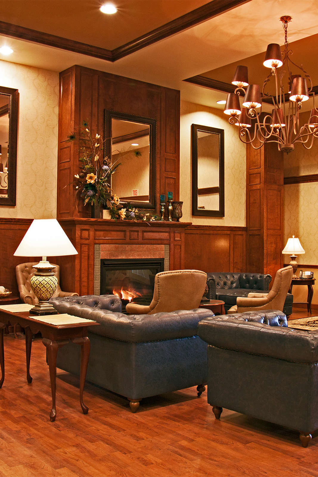 Hotel D Hotel & Suites photo 3