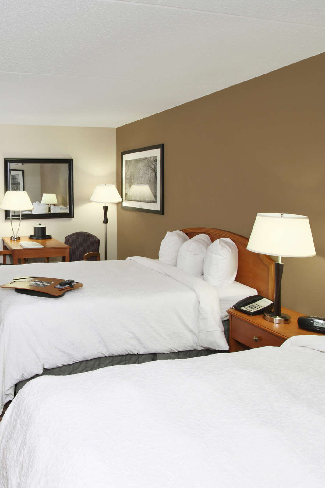 Hotel Hampton Inn Plymouth Meeting photo 3