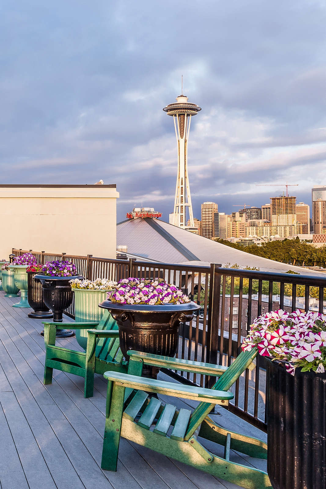 Hotel Mediterranean Inn photo 1