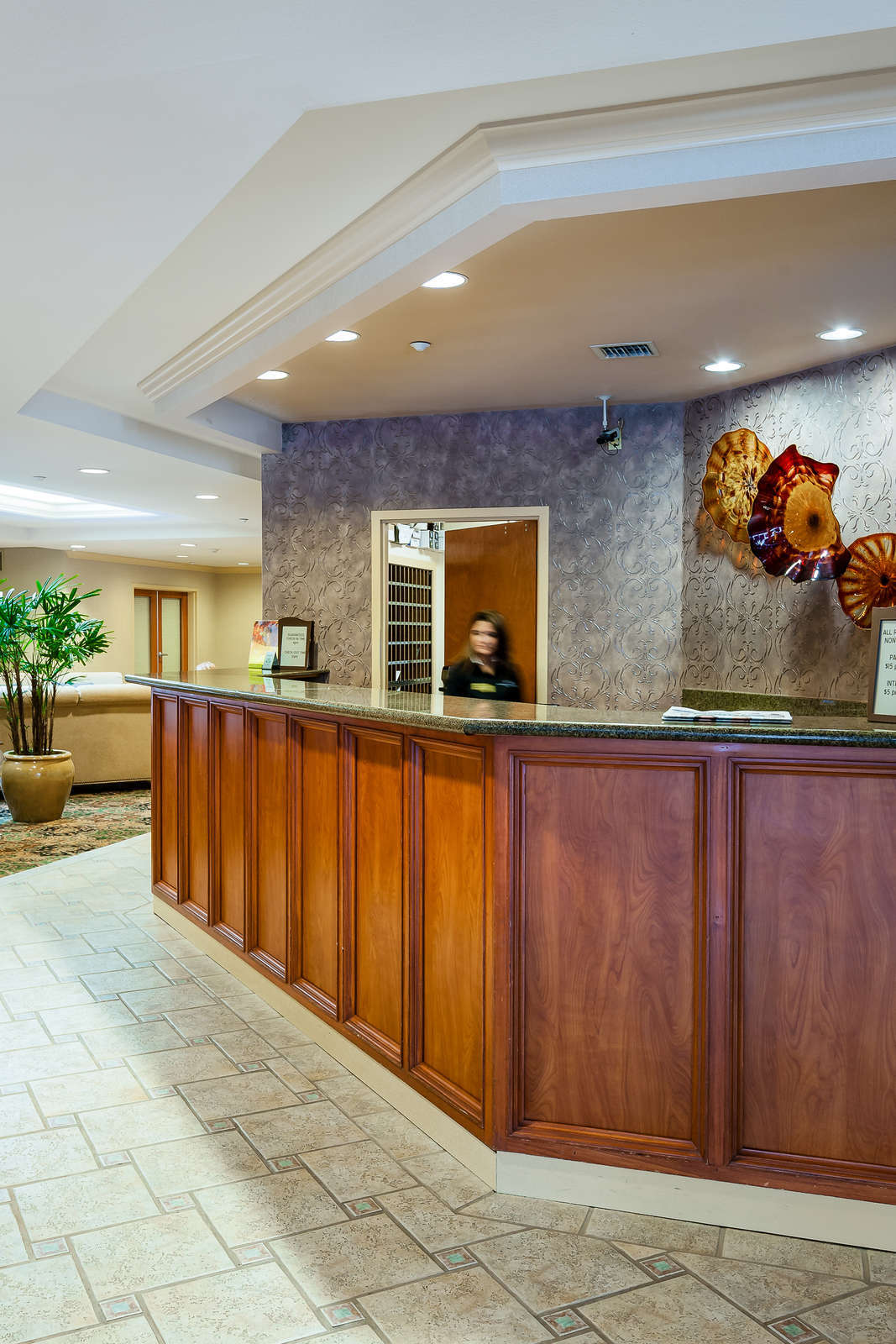 Hotel Mediterranean Inn photo 2