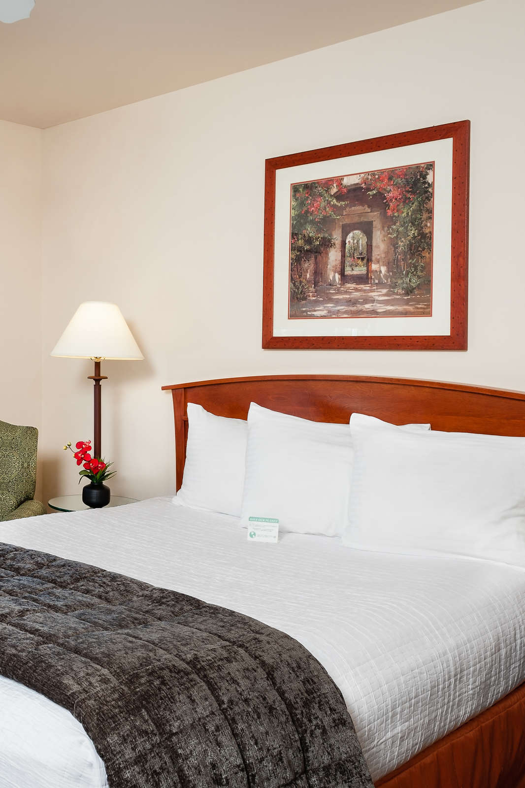 Hotel Mediterranean Inn photo 5