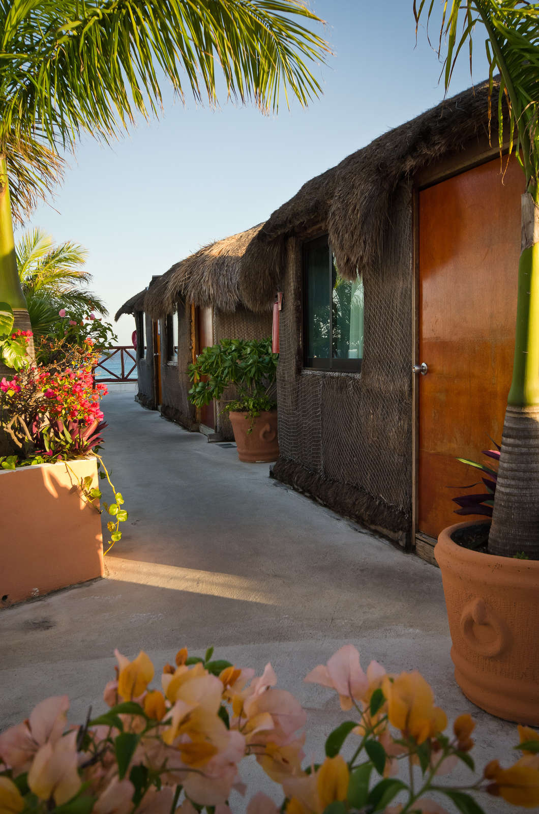 Hotel Illusion Boutique Hotel photo 3