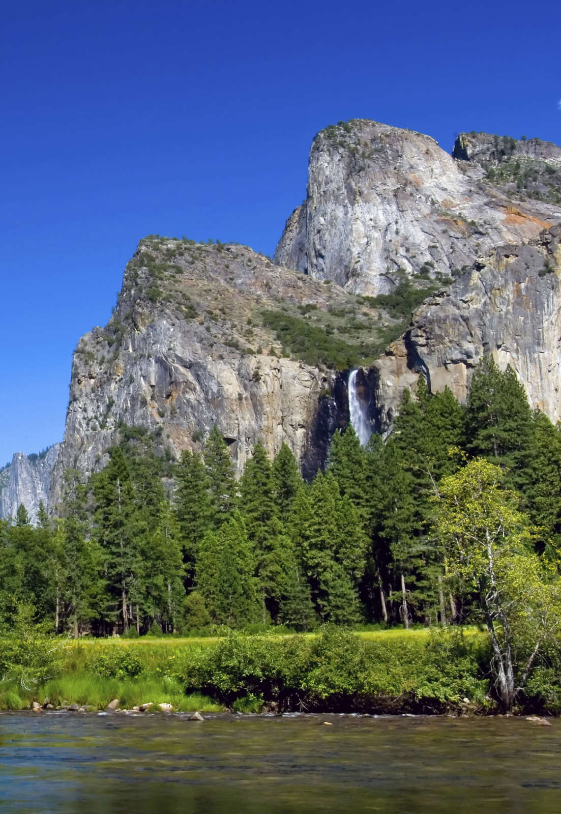 Hotel The Pines Resort photo 1