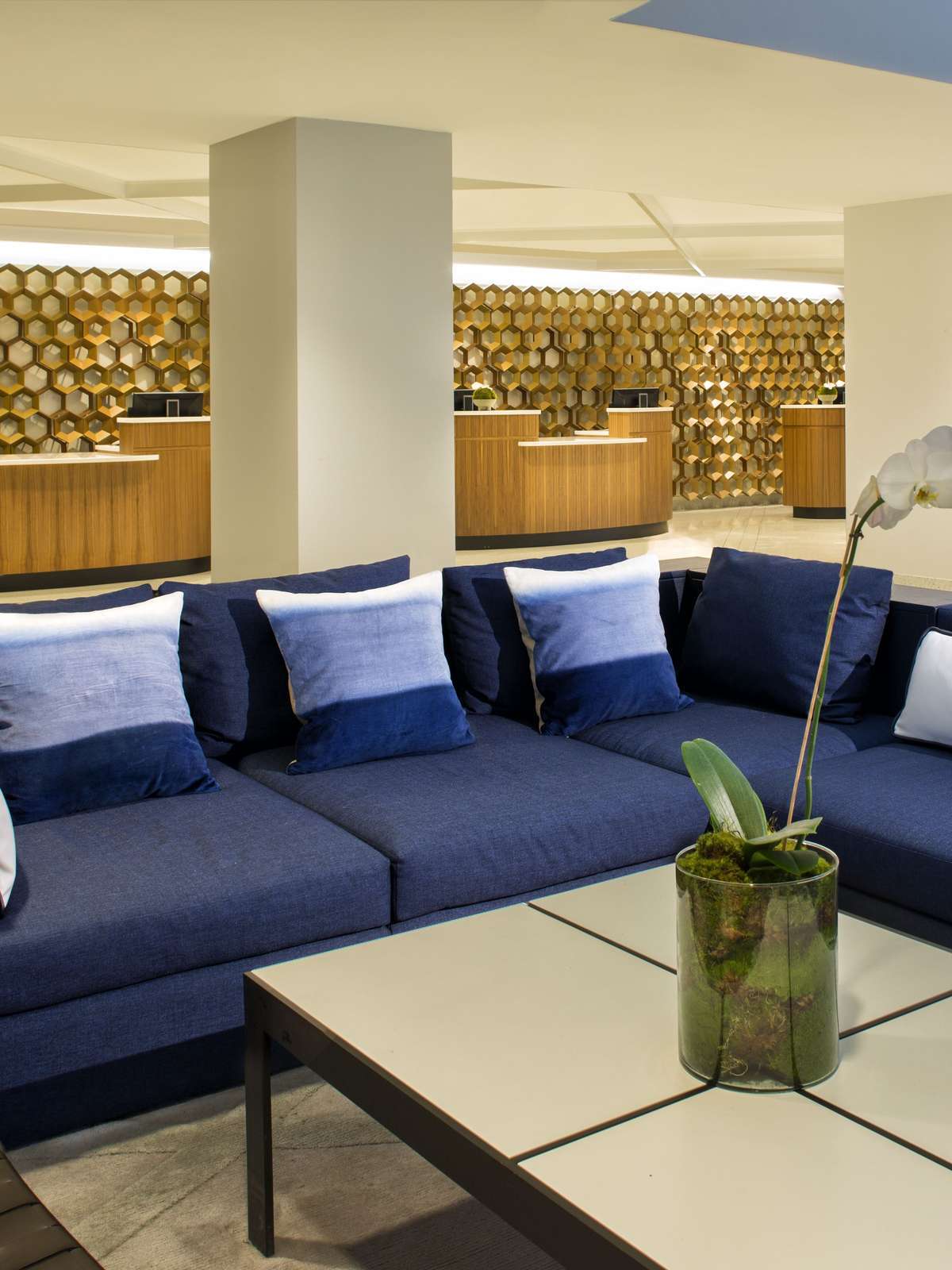 Hotel Sheraton Grand Nashville Downtown photo 5