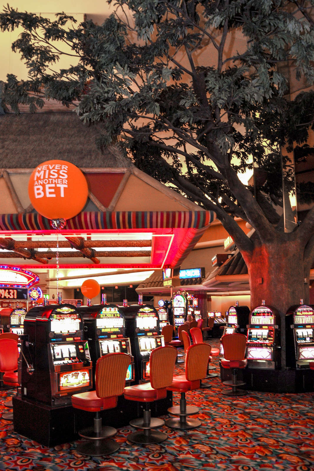 Hotel Fiesta Henderson photo 3