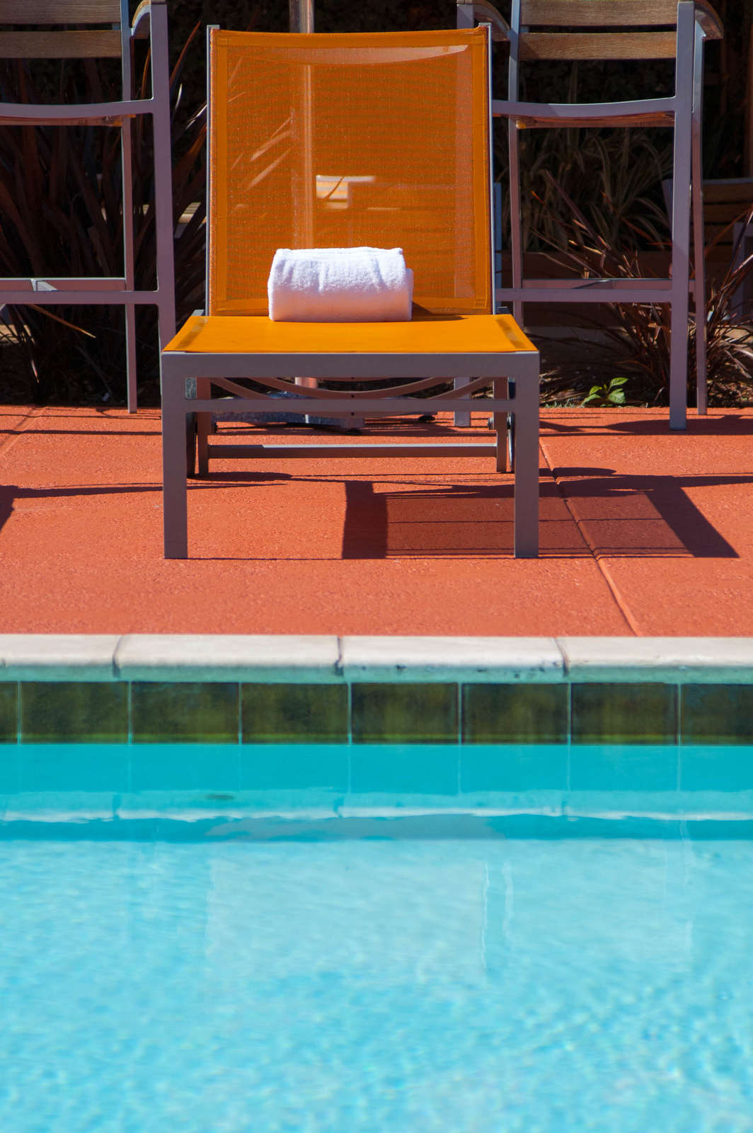 Hotel The Beverly Heritage Hotel photo 2