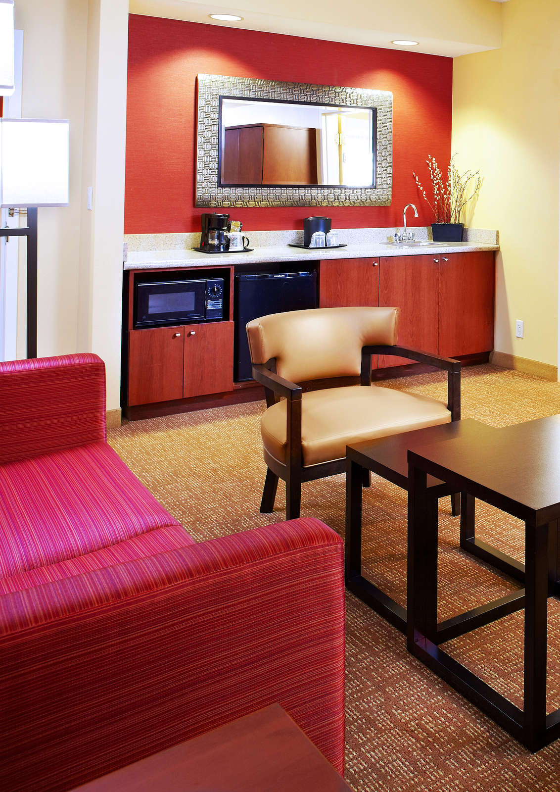 Hotel Courtyard by Marriott Oldsmar photo 2