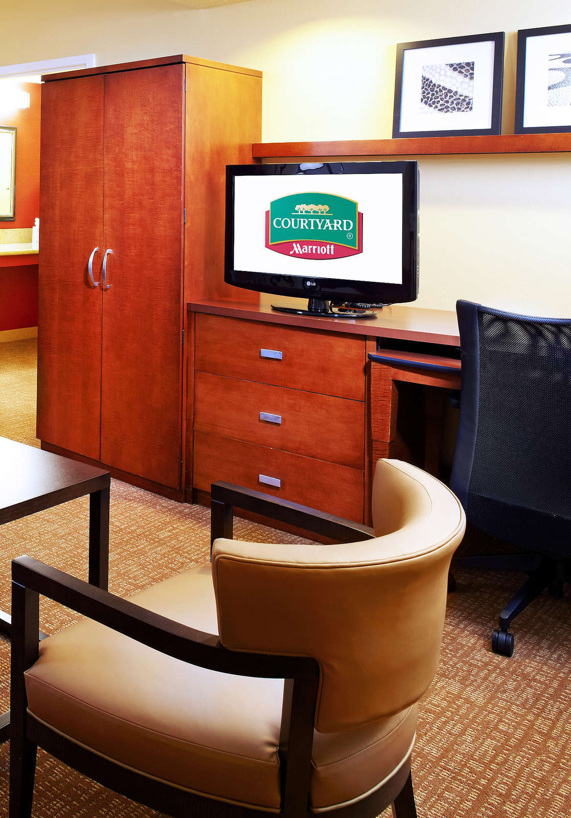 Hotel Courtyard by Marriott Oldsmar photo 3