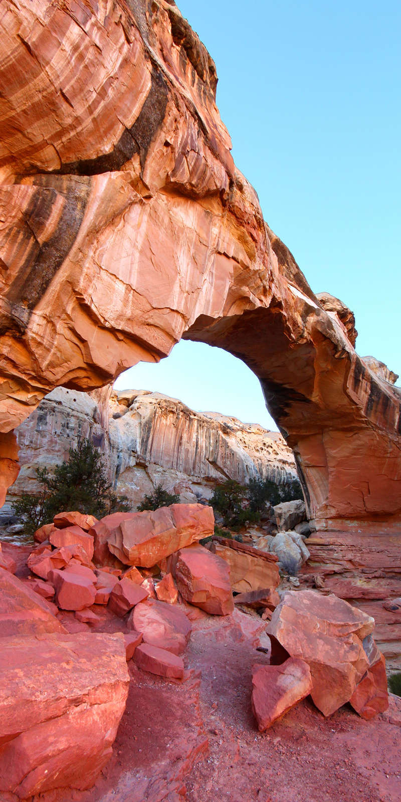 Hotel Capitol Reef Resort photo 1