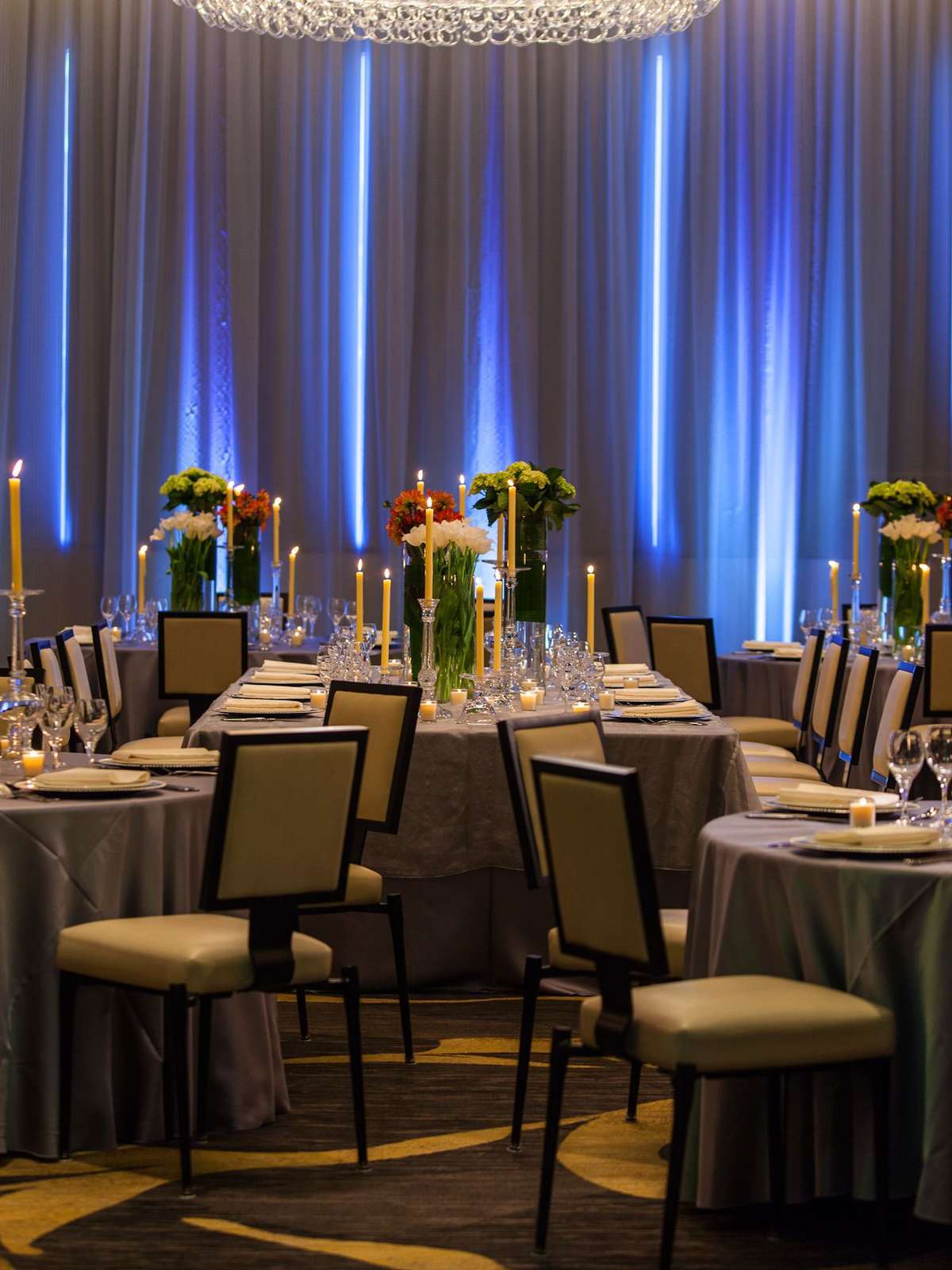 Hotel Hotel Palomar, a Kimpton Hotel photo 5