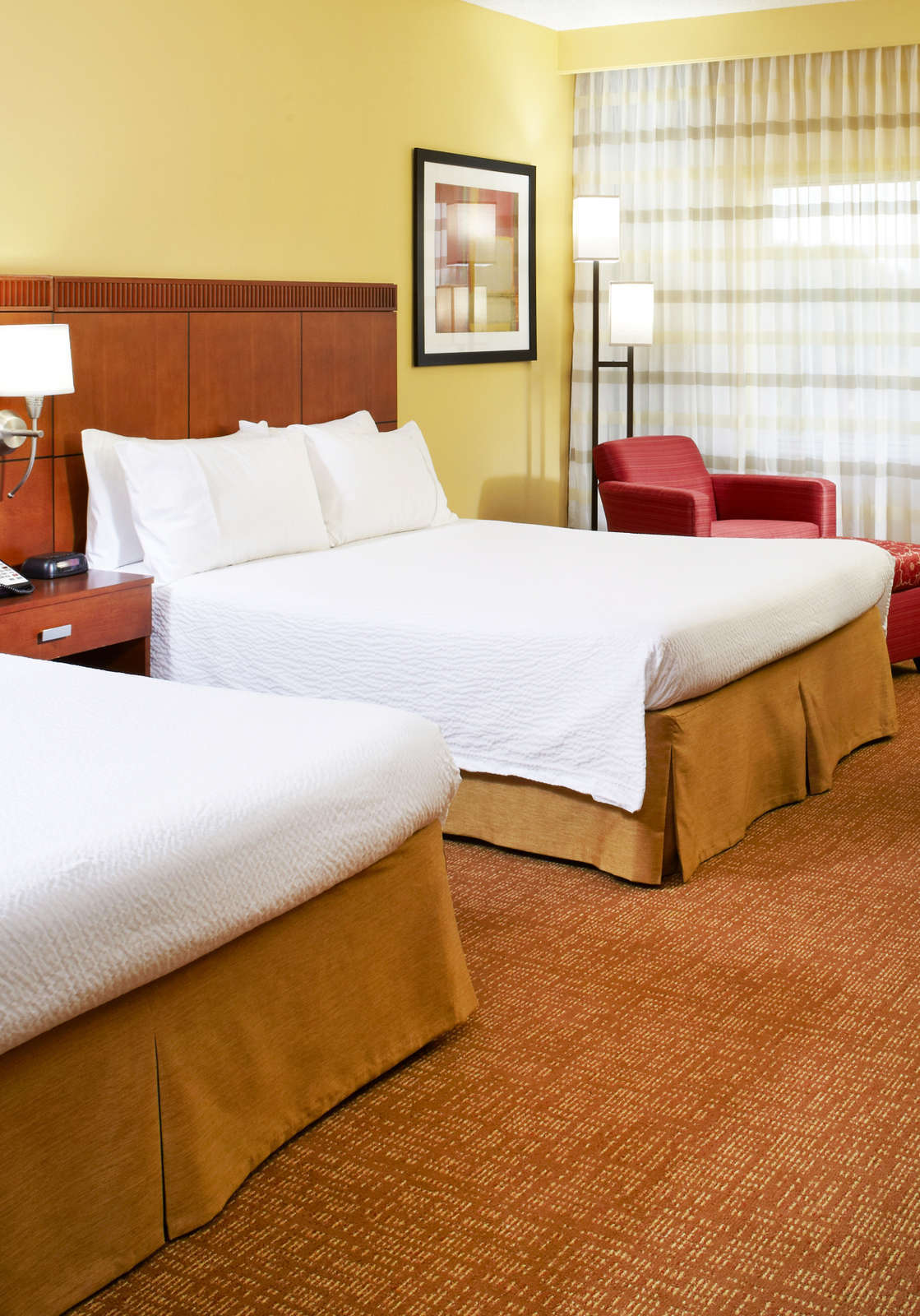 Hotel Courtyard by Marriott Oldsmar photo 1