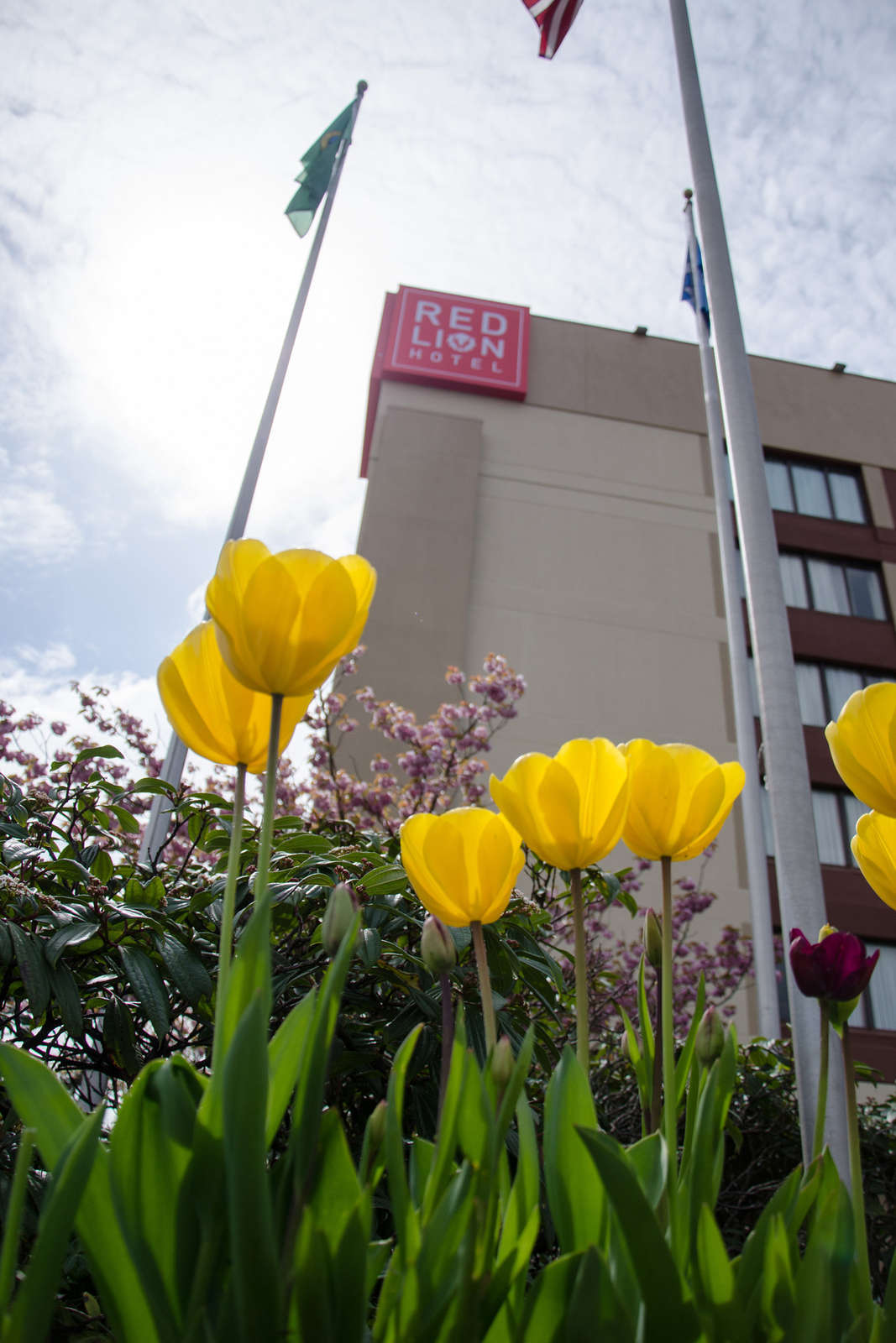 Hotel Red Lion Hotel & Conference Center Seattle-Renton photo 3