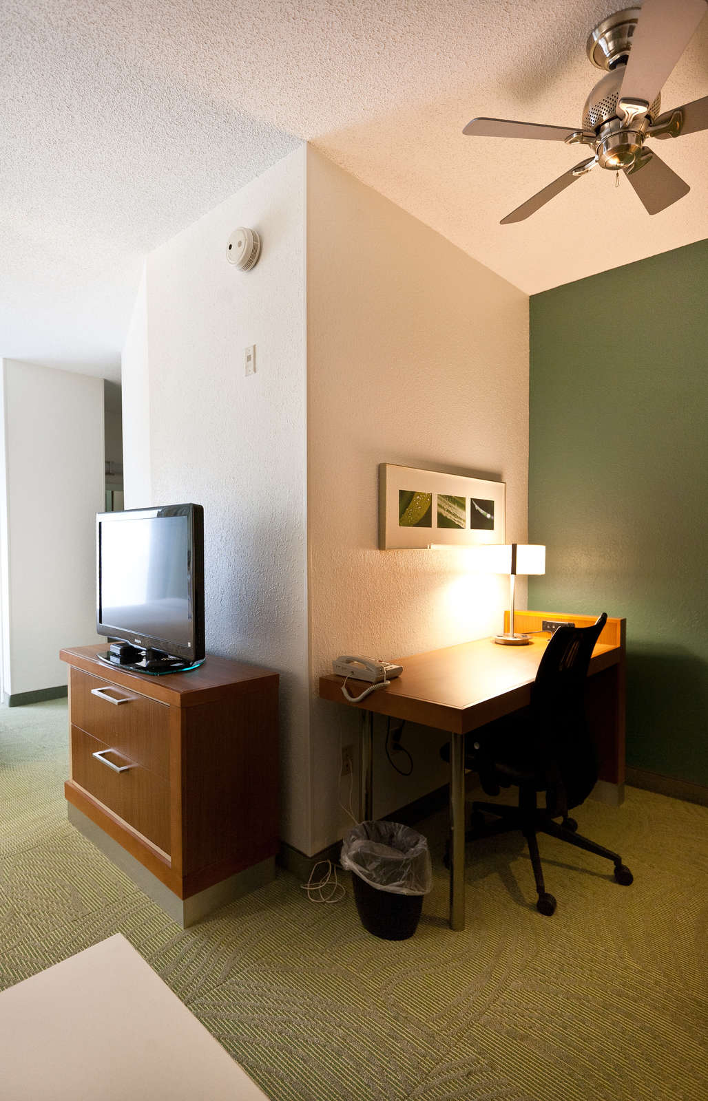 Hotel SpringHill Suites MetroCenter photo 5