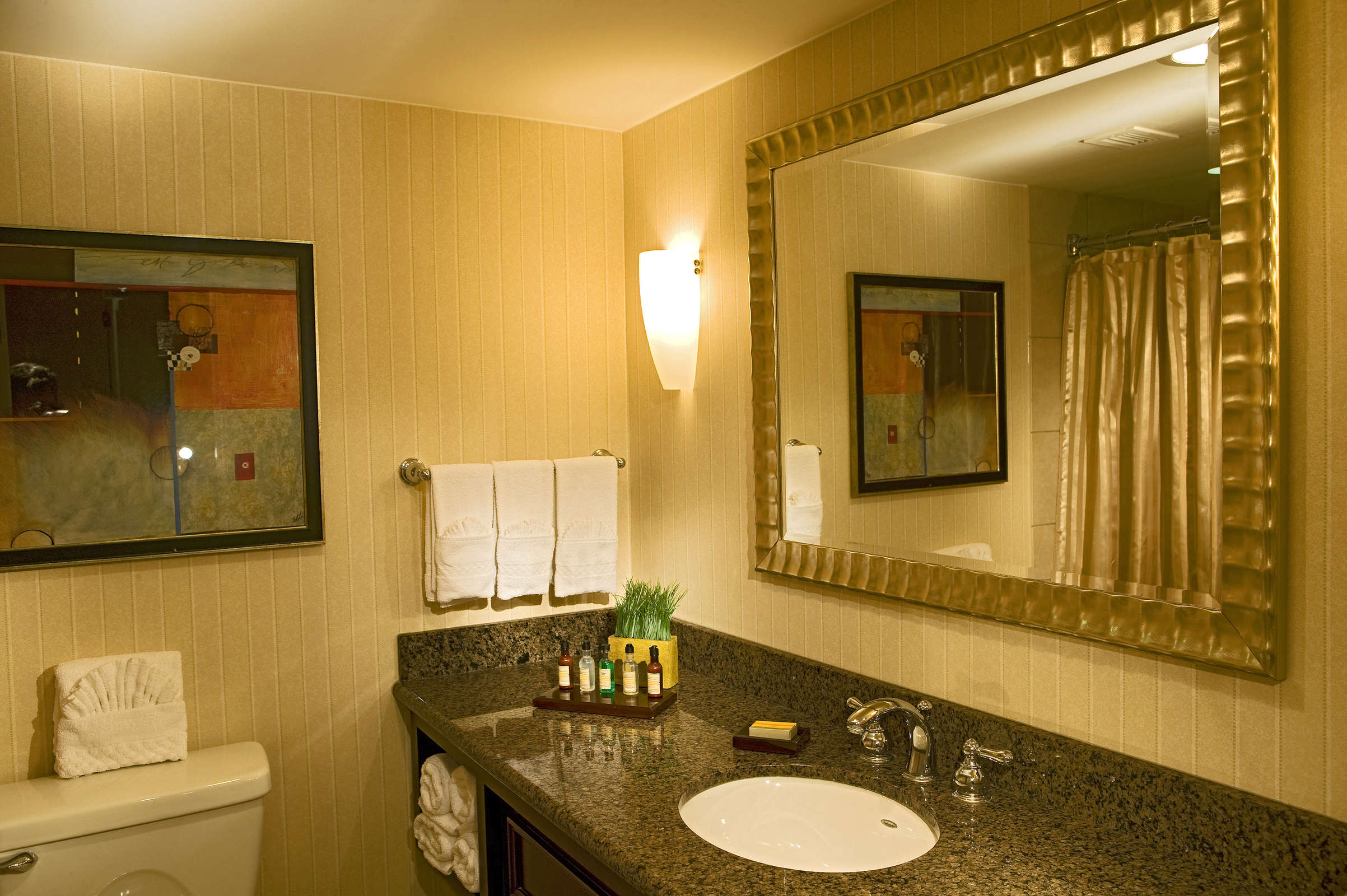 Hotel Minneapolis Marriott West photo 4