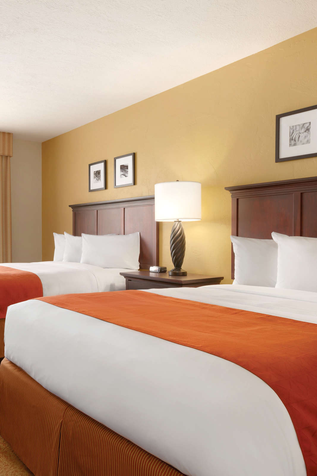 Hotel Country Inn & Suites Tampa East photo 2