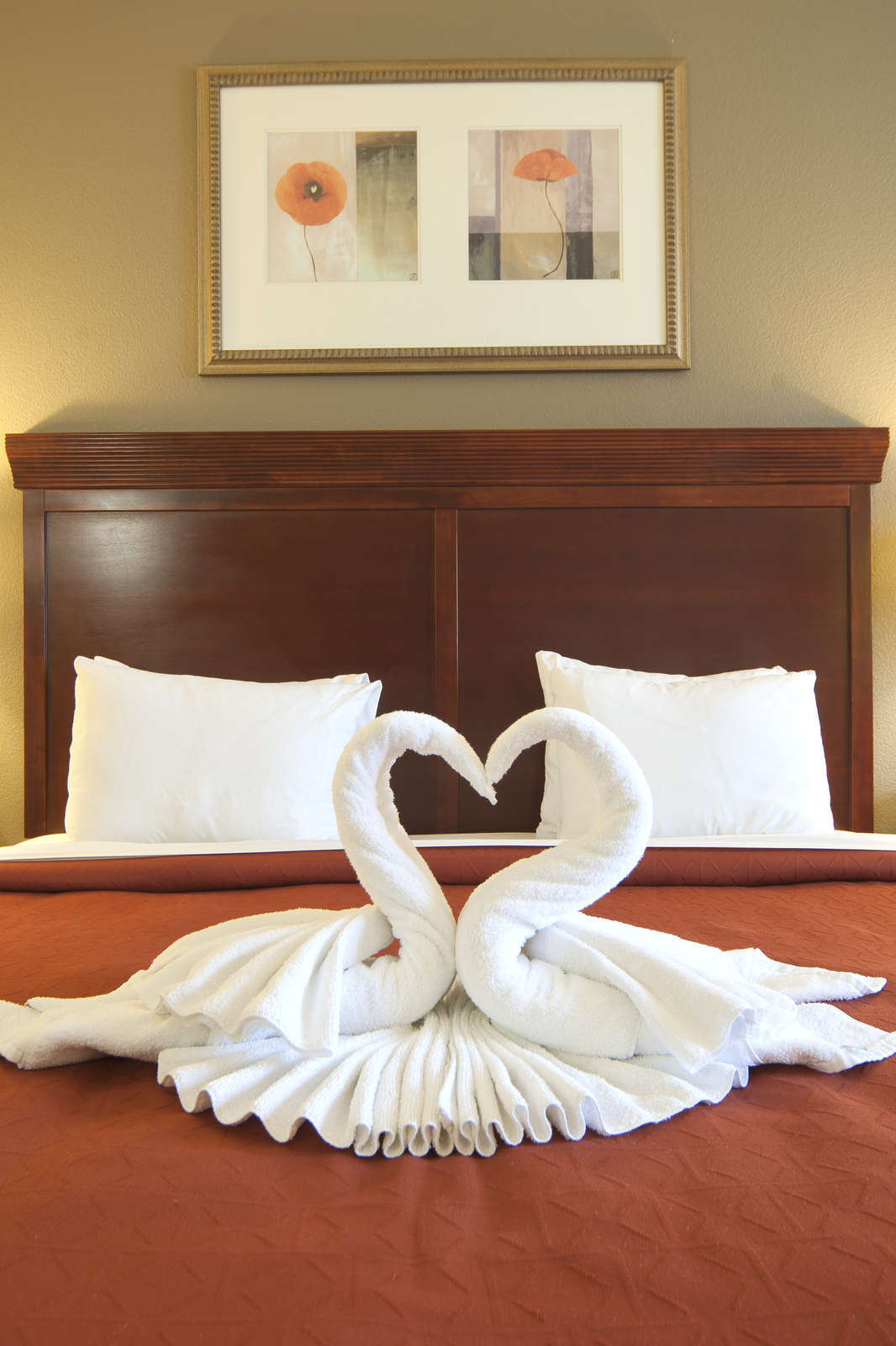 Hotel Country Inn & Suites Tampa East photo 1