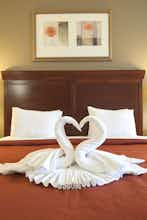 Hotel Country Inn & Suites Tampa East photo 1